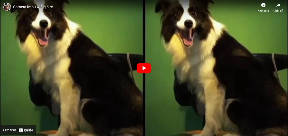 Camera Wifi Giá Rẻ Loại Nào Tốt