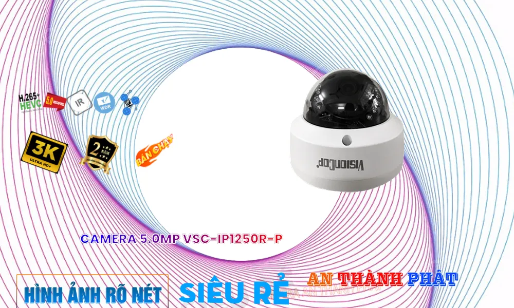 Camera Visioncop VSC-IP1250R-P