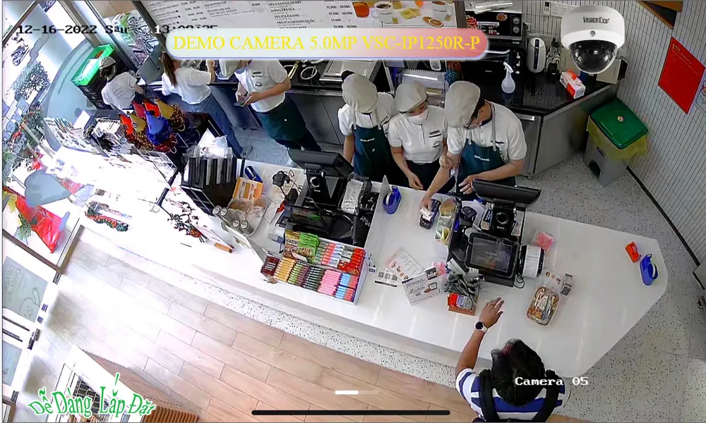 Camera Visioncop VSC-IP1250R-P