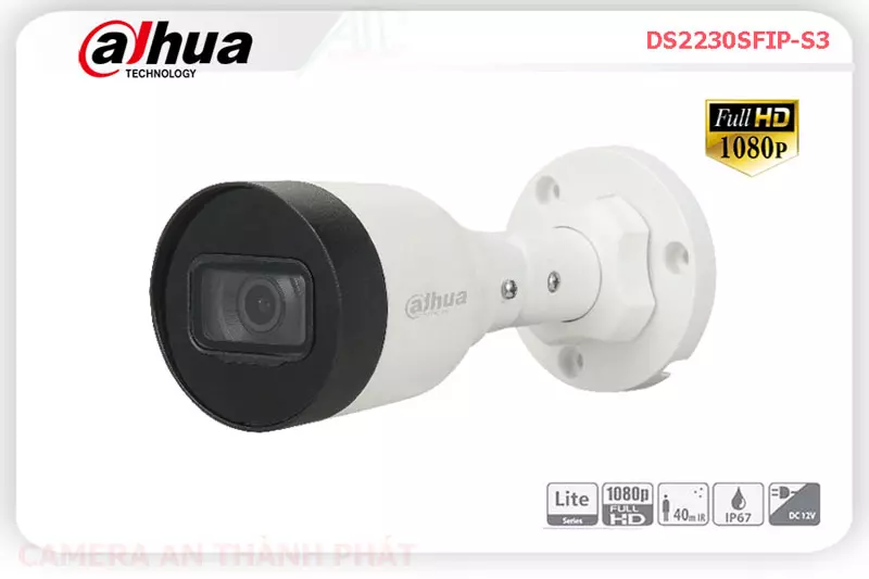 DAHUA DS2230SFIP-S3,Giá DS2230SFIP-S3,phân phối DS2230SFIP-S3,Camera An Ninh Dahua DS2230SFIP-S3 Giá rẻ Bán Giá